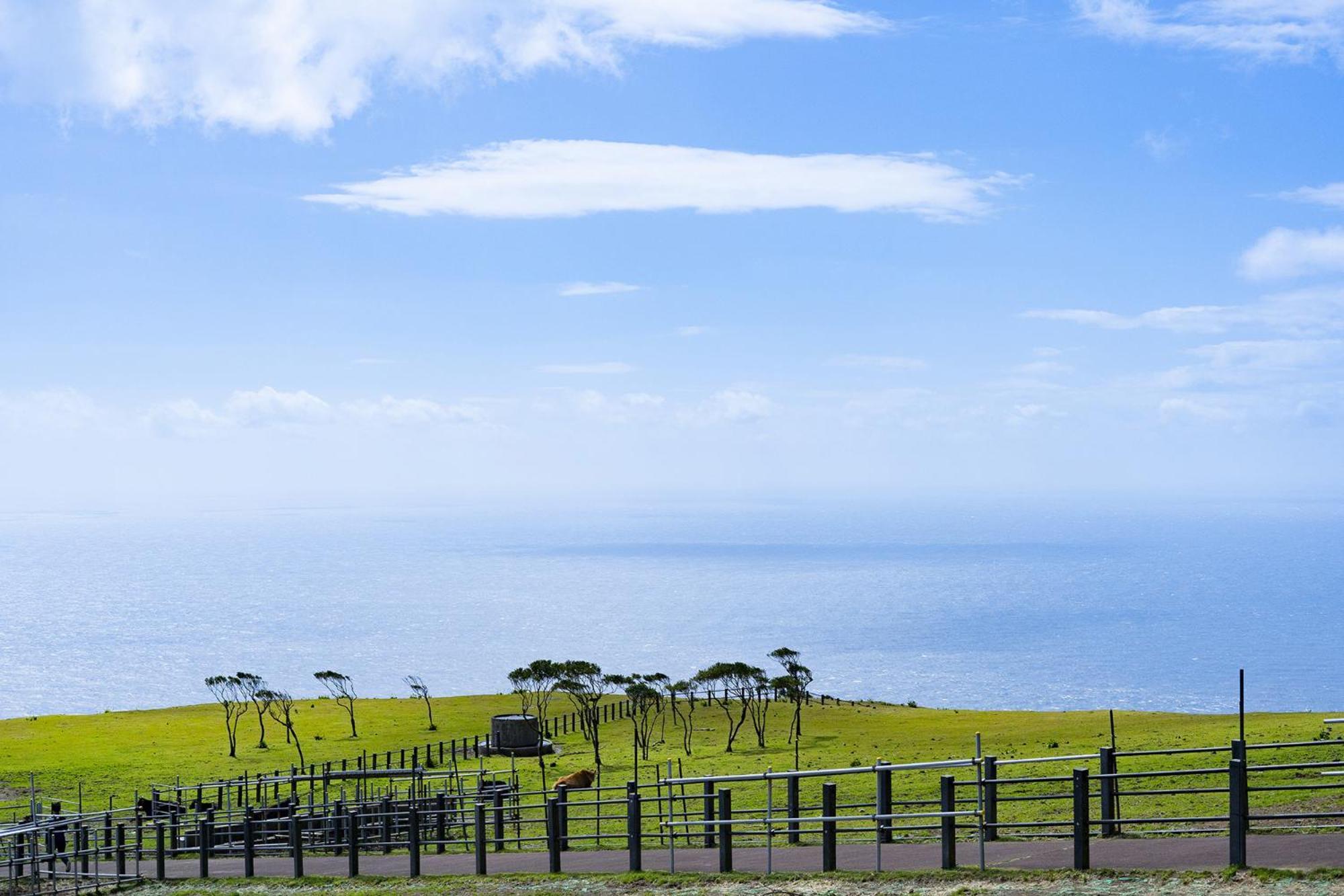Hachijyo-Island Blue Eight -八丈島ブルーエイト- Villa Mitsune Exterior photo